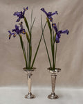 Pair of silver plated vases