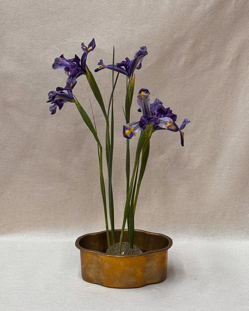 Brass pot