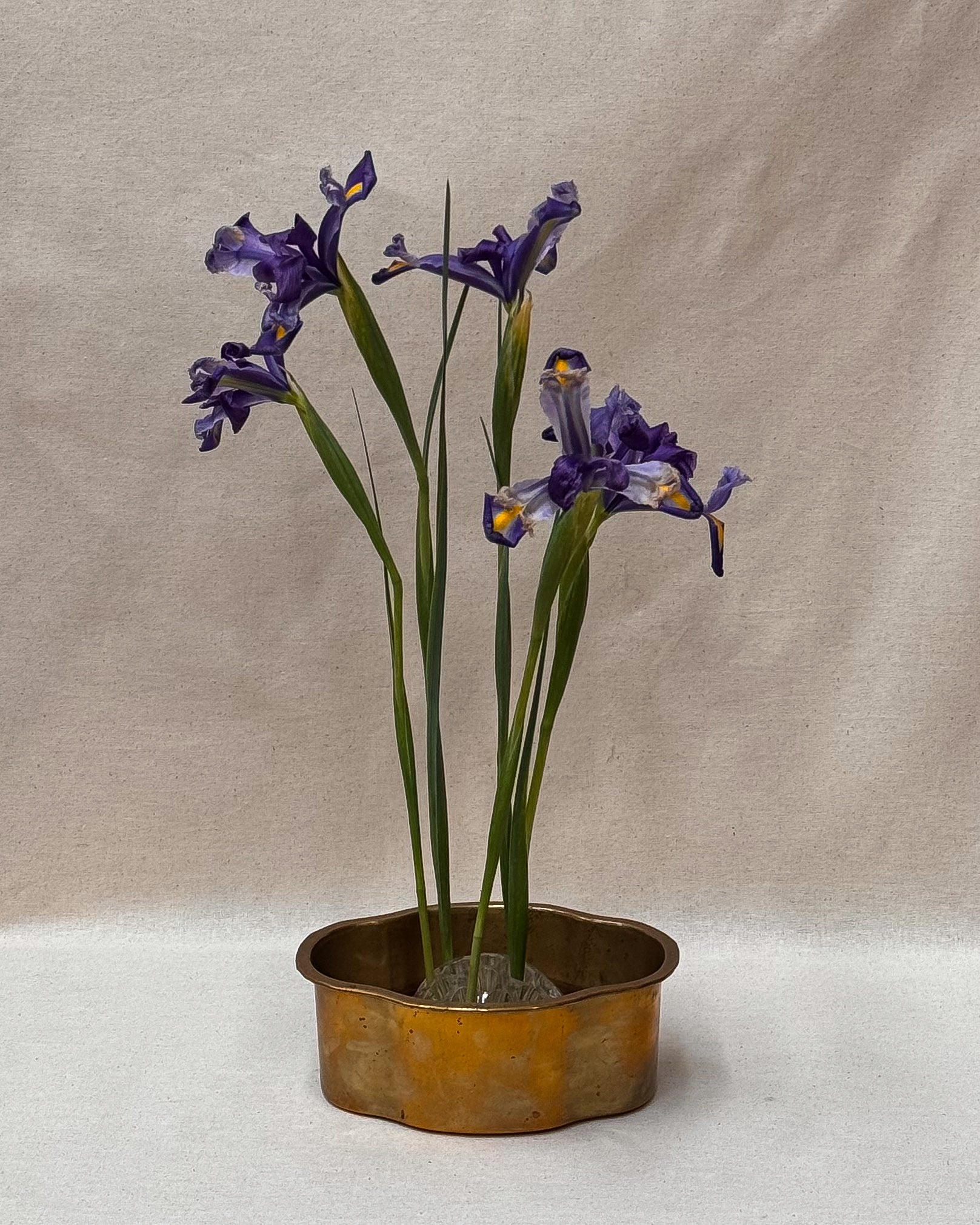 Brass pot